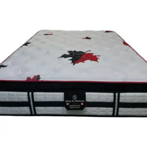 ESHA EURO TOP ( GEL LATEX ) QUEEN SIZE MATTRESS